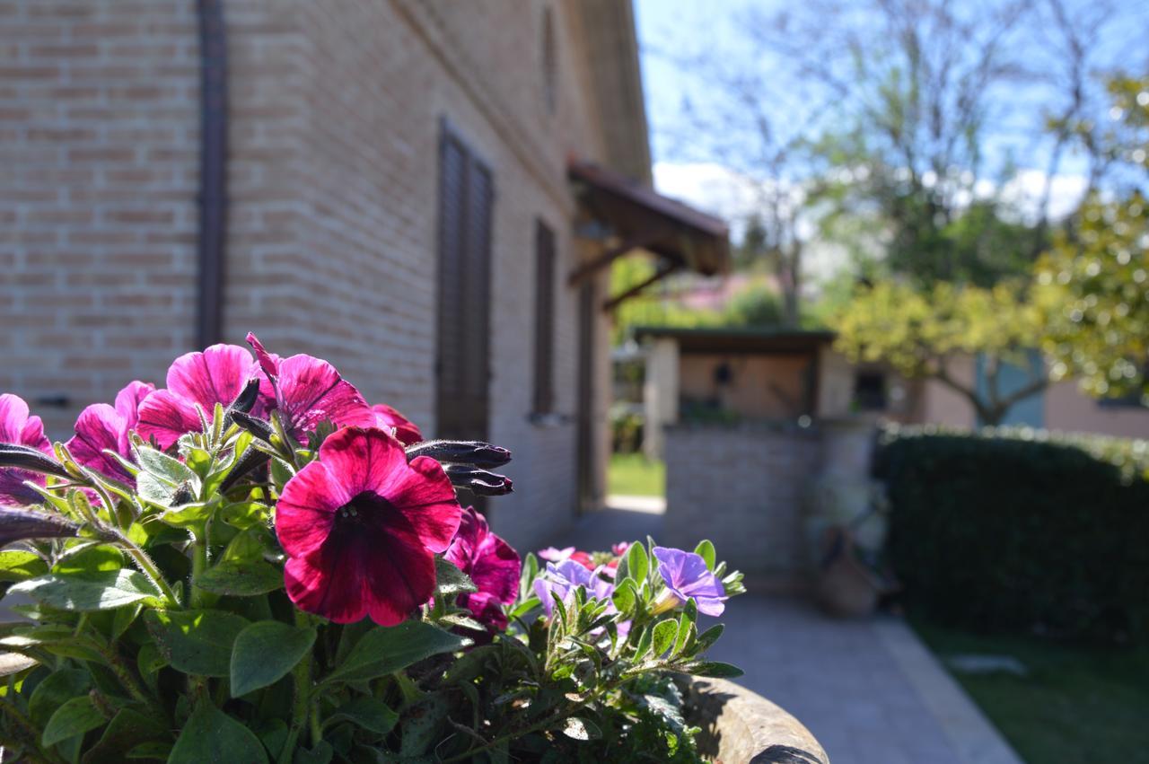 B&B Madonna Carradori Offagna Экстерьер фото